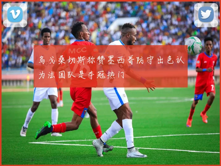 乌戈桑切斯称赞墨西哥防守出色认为法国队是夺冠热门