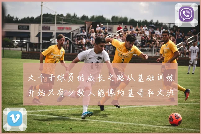 大个子球员的成长之路从基础训练开始只有少数人能像约基奇和文班那样成功