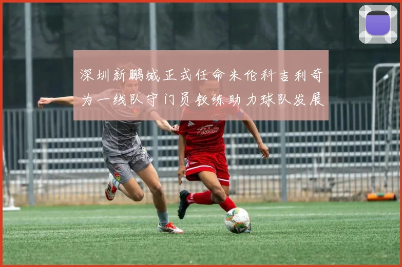 深圳新鹏城正式任命米伦科吉利奇为一线队守门员教练助力球队发展