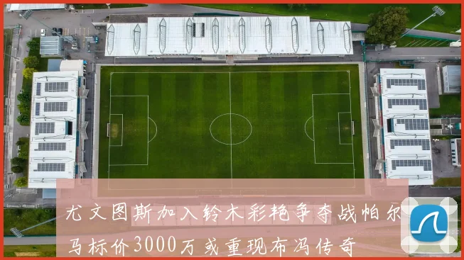 尤文图斯加入铃木彩艳争夺战帕尔马标价3000万或重现布冯传奇